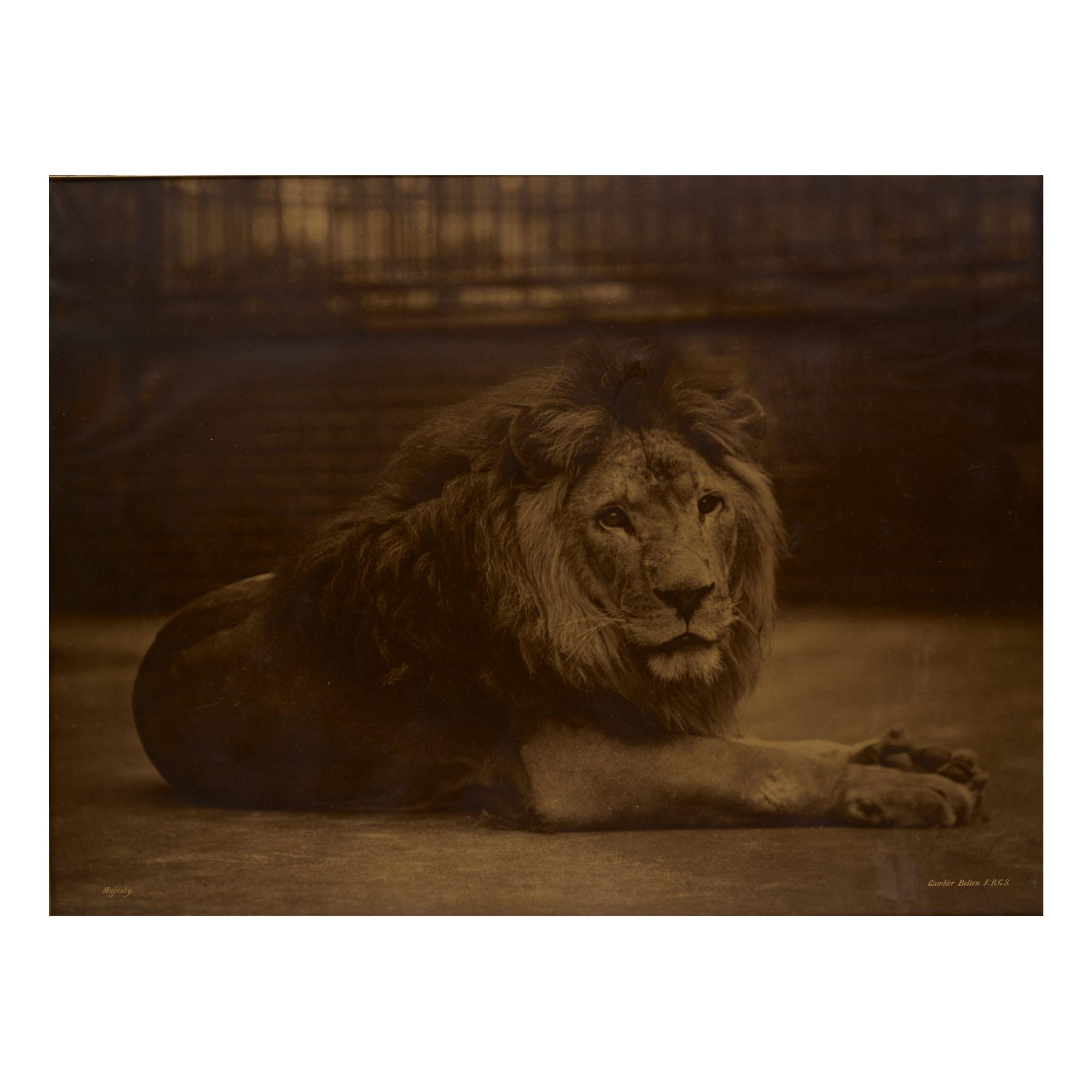 Gambier Bolton - \'Majesty\'