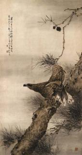 Gao Qifeng - Eagle