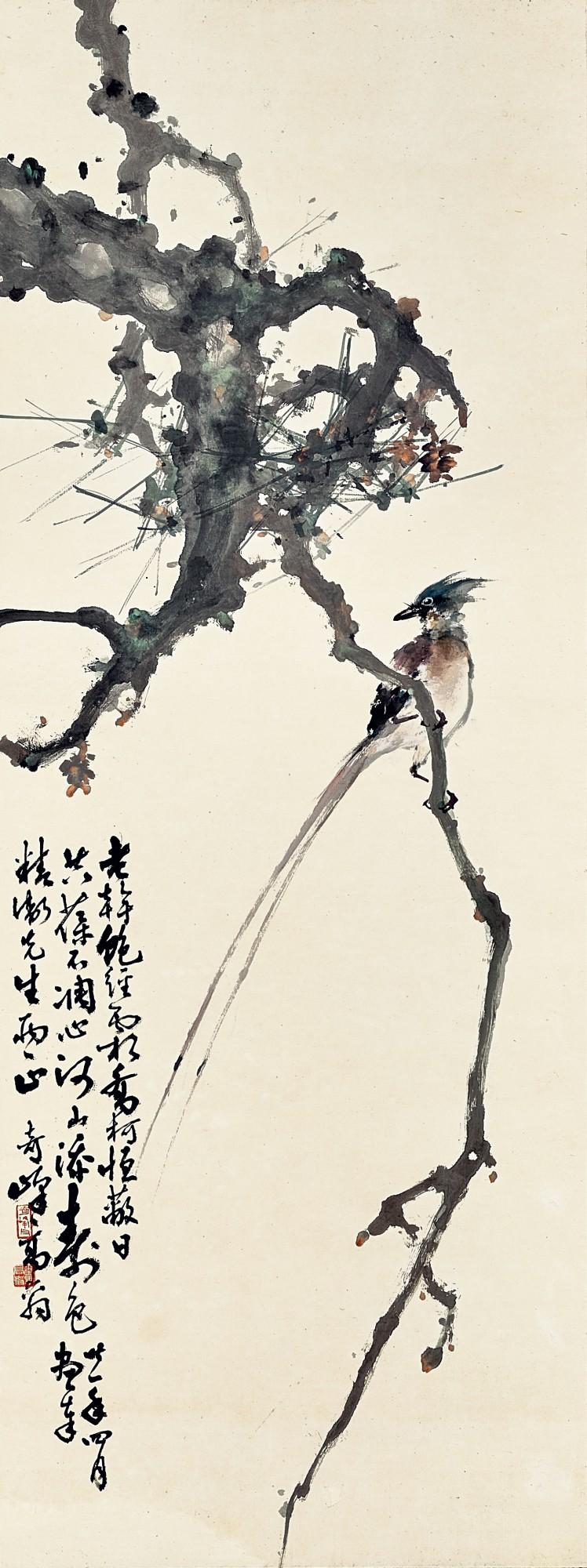 Gao Qifeng - Paradise Flycatcher on Pine Tree