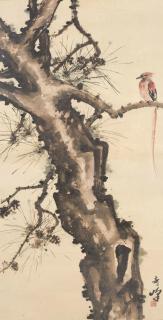 Gao Qifeng - Paradise Flycatcher Perching on the Pine