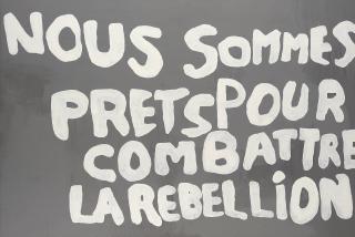 Gardar Eide Einarsson - Untitled (Combattre la Rébellion)