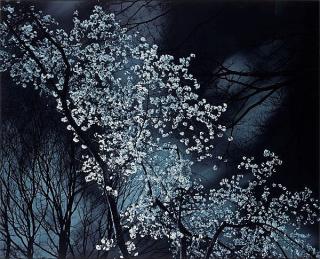 Gareth McConnell - \