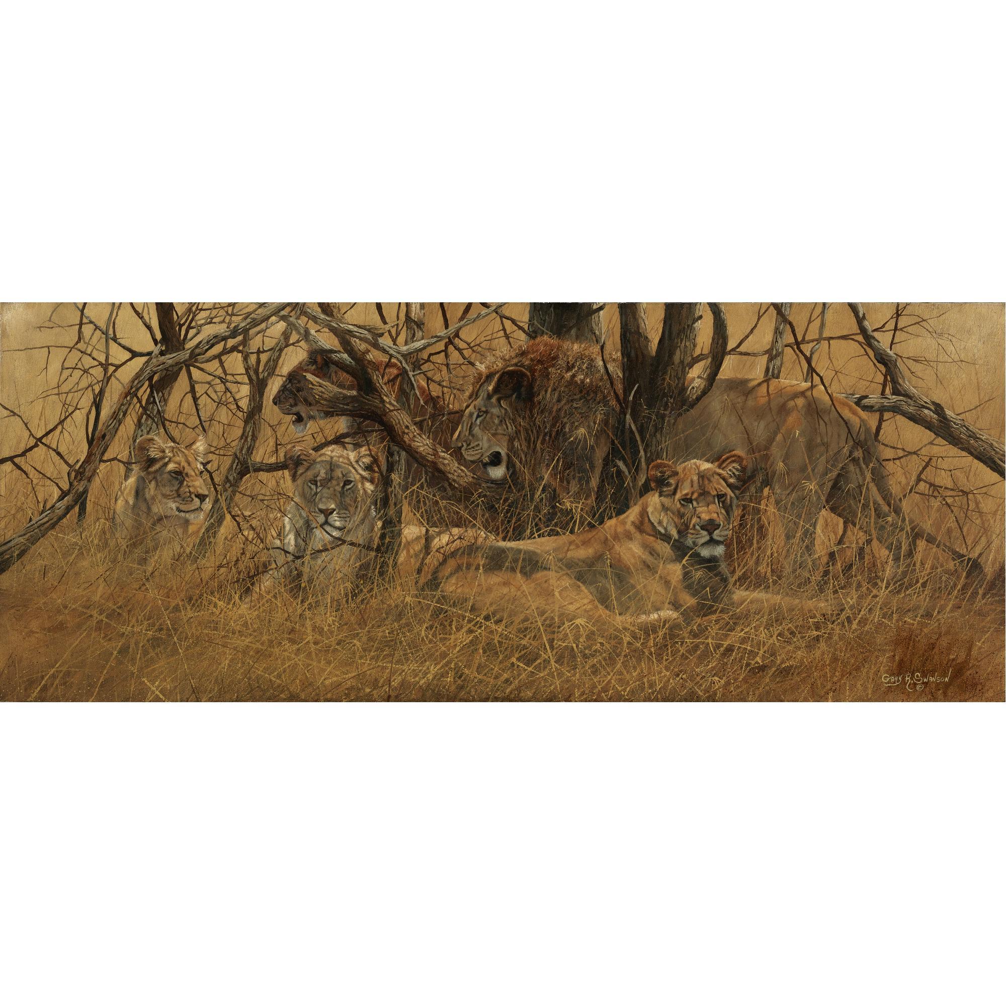 Garry R. Swanson - American A Pride Of Lions
