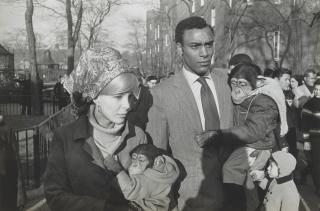 Garry Winogrand - Central Park Zoo, 1967