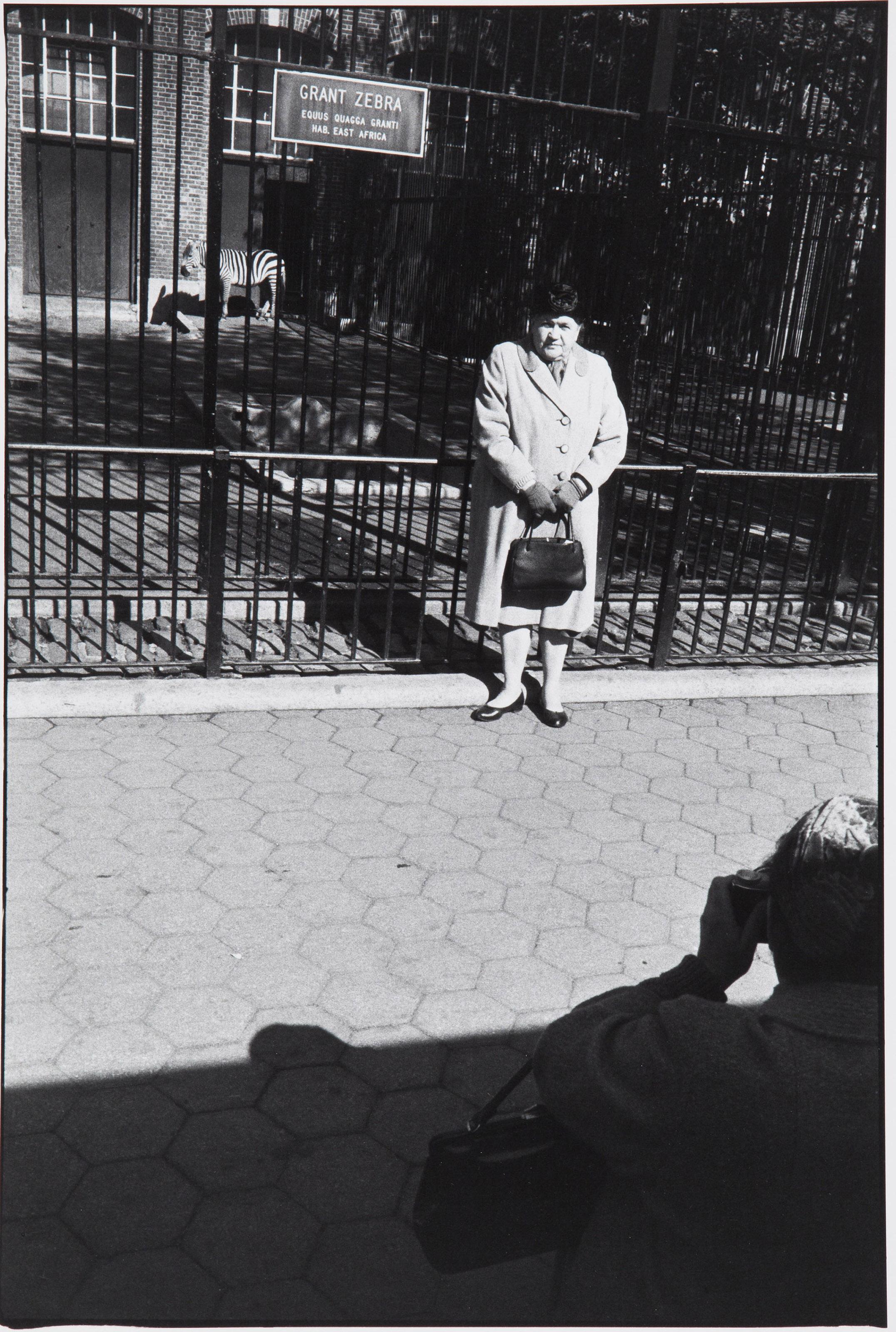 Garry Winogrand - Central Park Zoo, New York, 1962