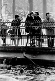 Garry Winogrand - Central Park Zoo, New York City, 1963