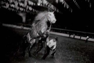 Garry Winogrand - Fort Worth, Texas, 1975