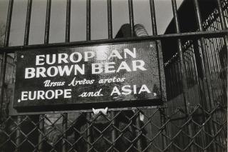 Garry Winogrand - Selected Images From \'Fifteen Photographs\'