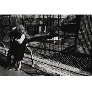 Garry Winogrand - Untitled (Couple With Wolf From The Animals)