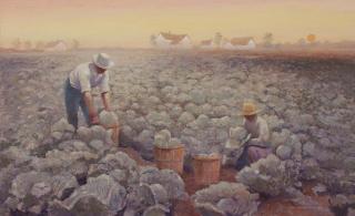 Gary Ernest Smith - Cabbage Field Harvest 