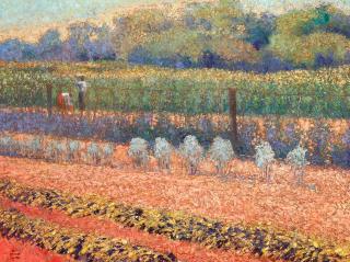 Gary Ernest Smith - Garden Textures