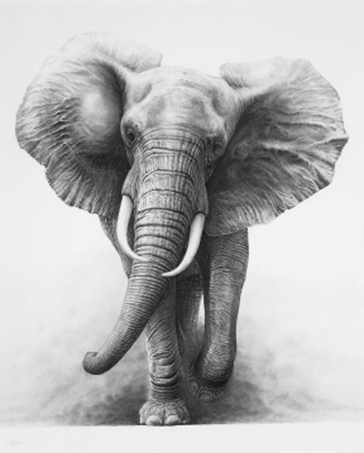 Gary Hodges - The Charge