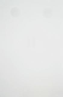 Gary Hume - Magnolia Door Five