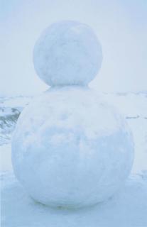 Gary Hume - Snowman