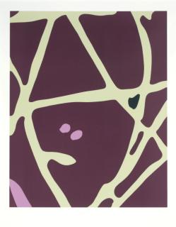 Gary Hume - Spring Angel E, from Spring Angels