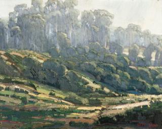 Gary Lang - Rising Mist