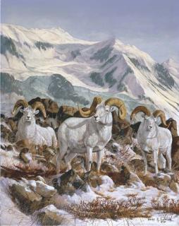 Gary R. Swanson - Matanuska Rams