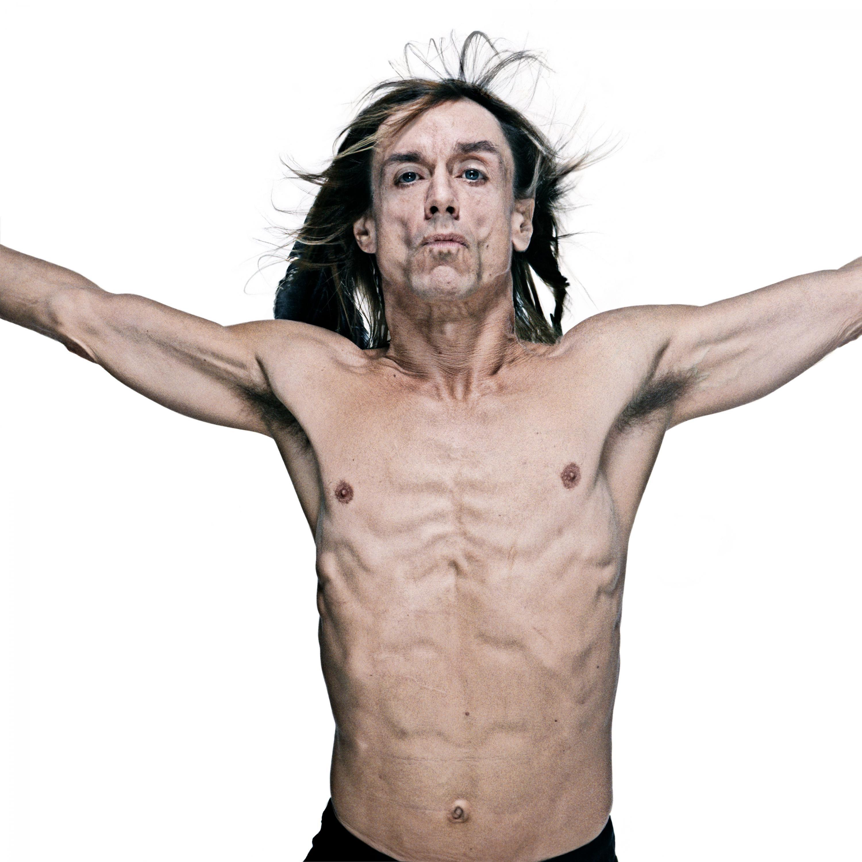 Gavin Evans - The Iggy Pop Godpixel