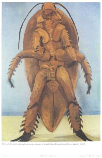 Gavin Turk - Metamorphosis, from \'Bugs: A Portfolio\'