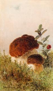 Gavril Pavlovic Kondratenko - Mushrooms.