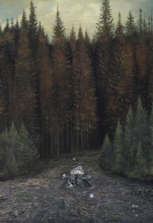 Ged Quinn - The Ghost of a Mountain