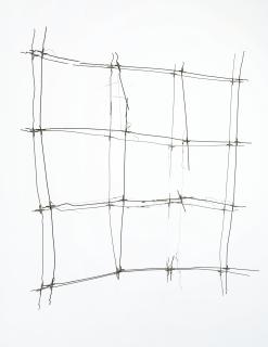 Gego - Dibujo Sin Papel