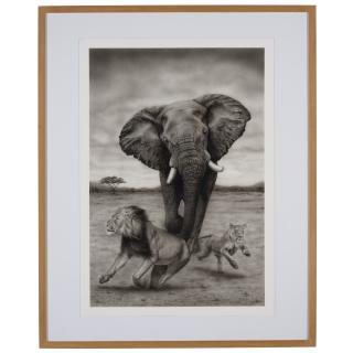 Gennaro Capasso - Run For It