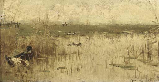 Geo Poggenbeek - Amongst reeds in the polder