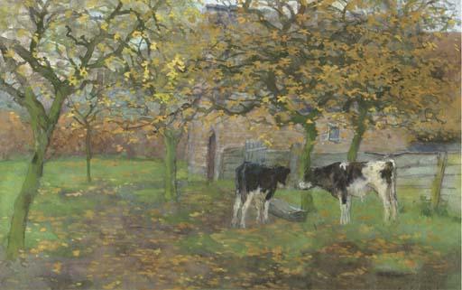 Geo Poggenbeek - Calfs in the orchard