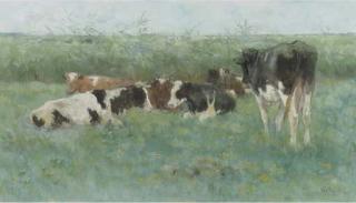 Geo Poggenbeek - Cows in a meadow