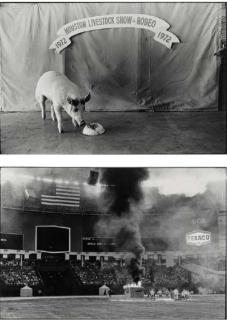 Geoff Winningham - Livestock Show, Houston; and Recreation of the Battle of Pork Chop Hill 2