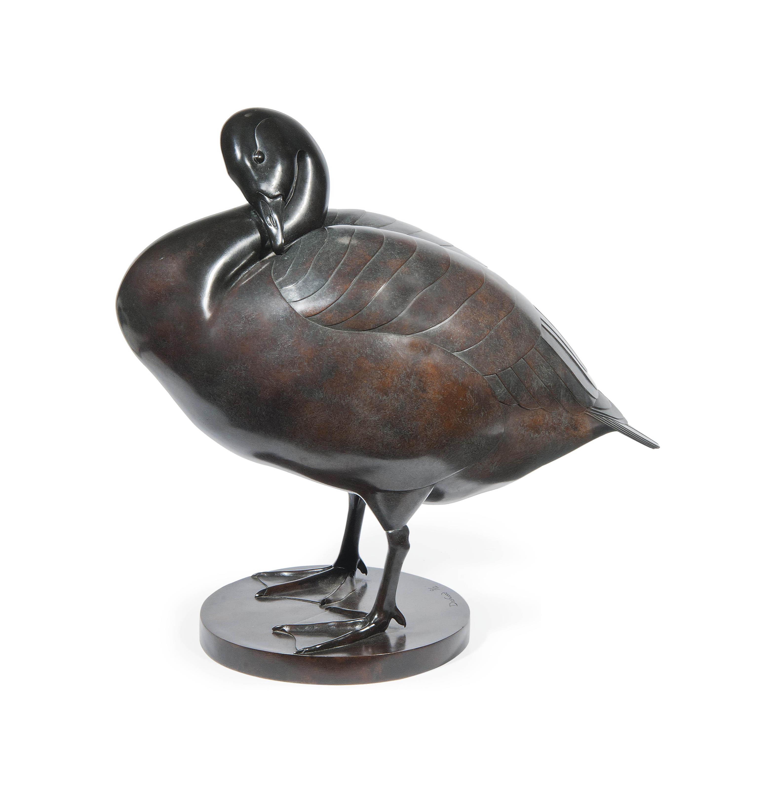 Geoffrey Dashwood - Canada goose