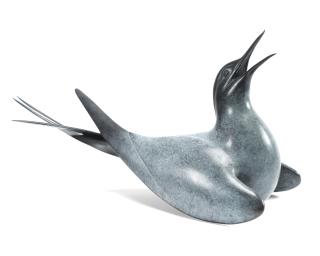 Geoffrey Dashwood - Tern