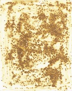 Georg Herold - Caviar Painting