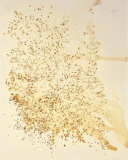 Georg Herold - Desastres de La Democracia