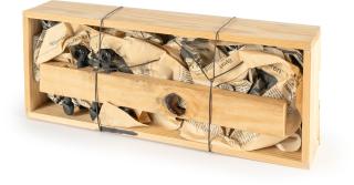 Georg Herold - Geigenkasten (Objekt)