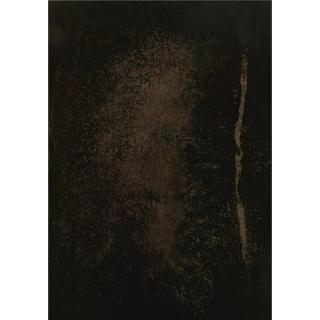 Georg Herold - Untitled