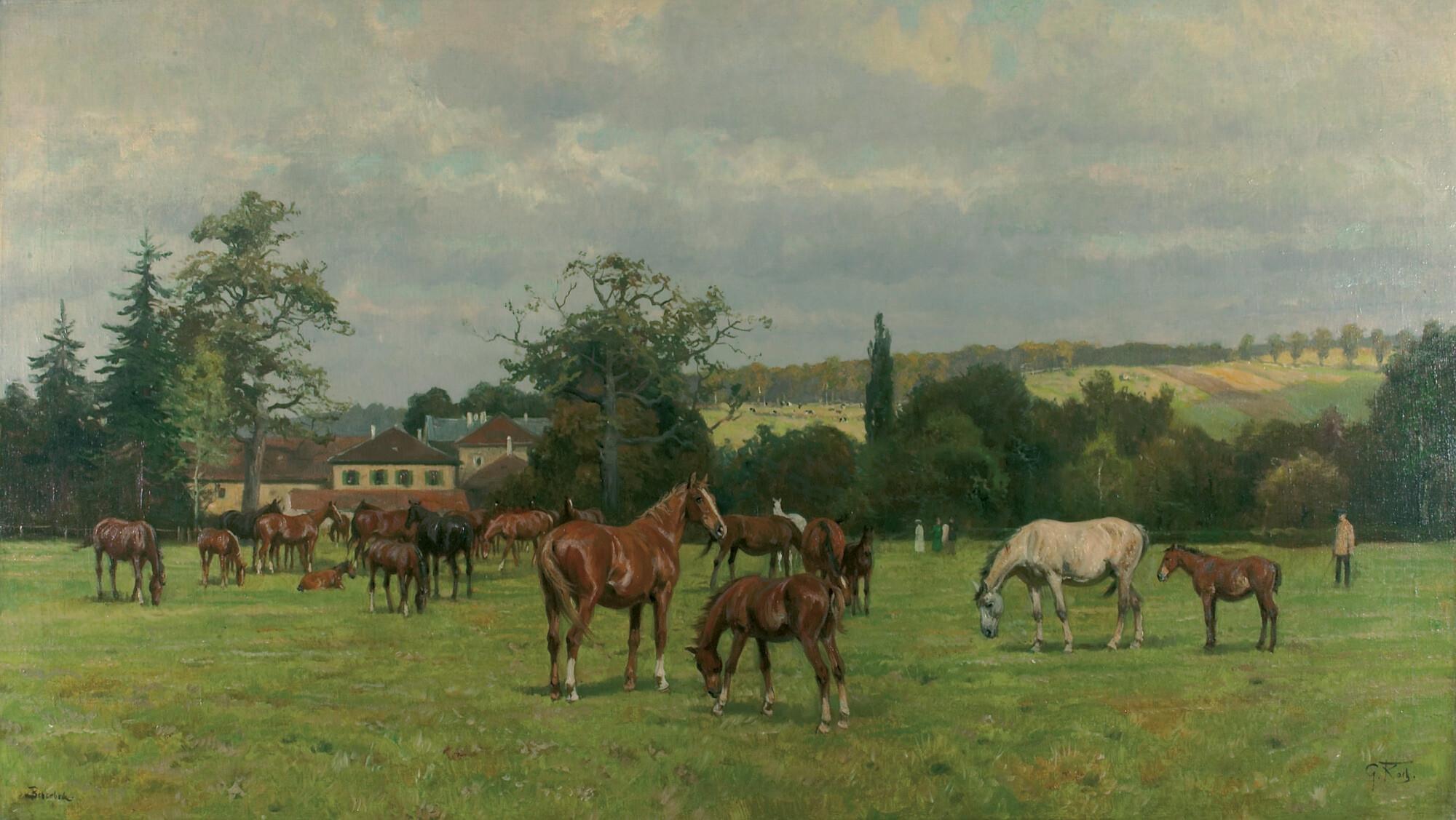 Georg Koch - Das Gestüt Beberbeck.