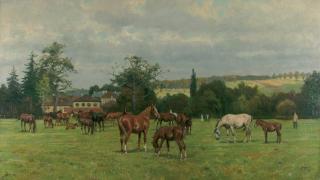 Georg Koch - Das Gestüt Beberbeck.