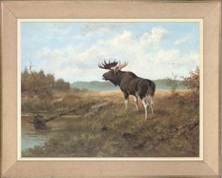 Georg Majewicz - A moose by a watering hole