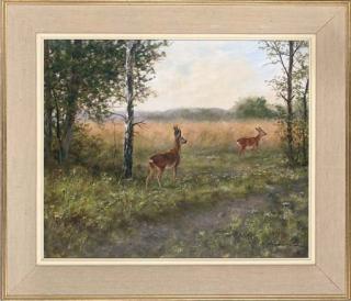 Georg Majewicz - Deer In A Clearing