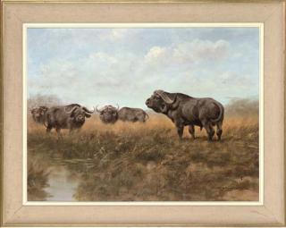 Georg Majewicz - Grazing Water Buffalo