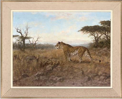 Georg Majewicz - Leopard On The Plains