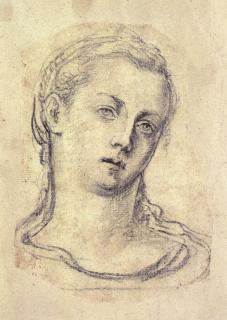 Georg Pencz - Head of a young woman, tilted to the left