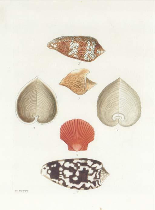 Georg-Wolfgang Knorr - Les Délices Des Yeux Et de L\'Esprit: Six Plates