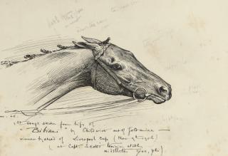 George Algernon Fothergill - An album of drawings and watercolours, the majority equestrian studies including: A sketch from the life of Bibiani (illustrated); Studies of dogs; and Studies of tack