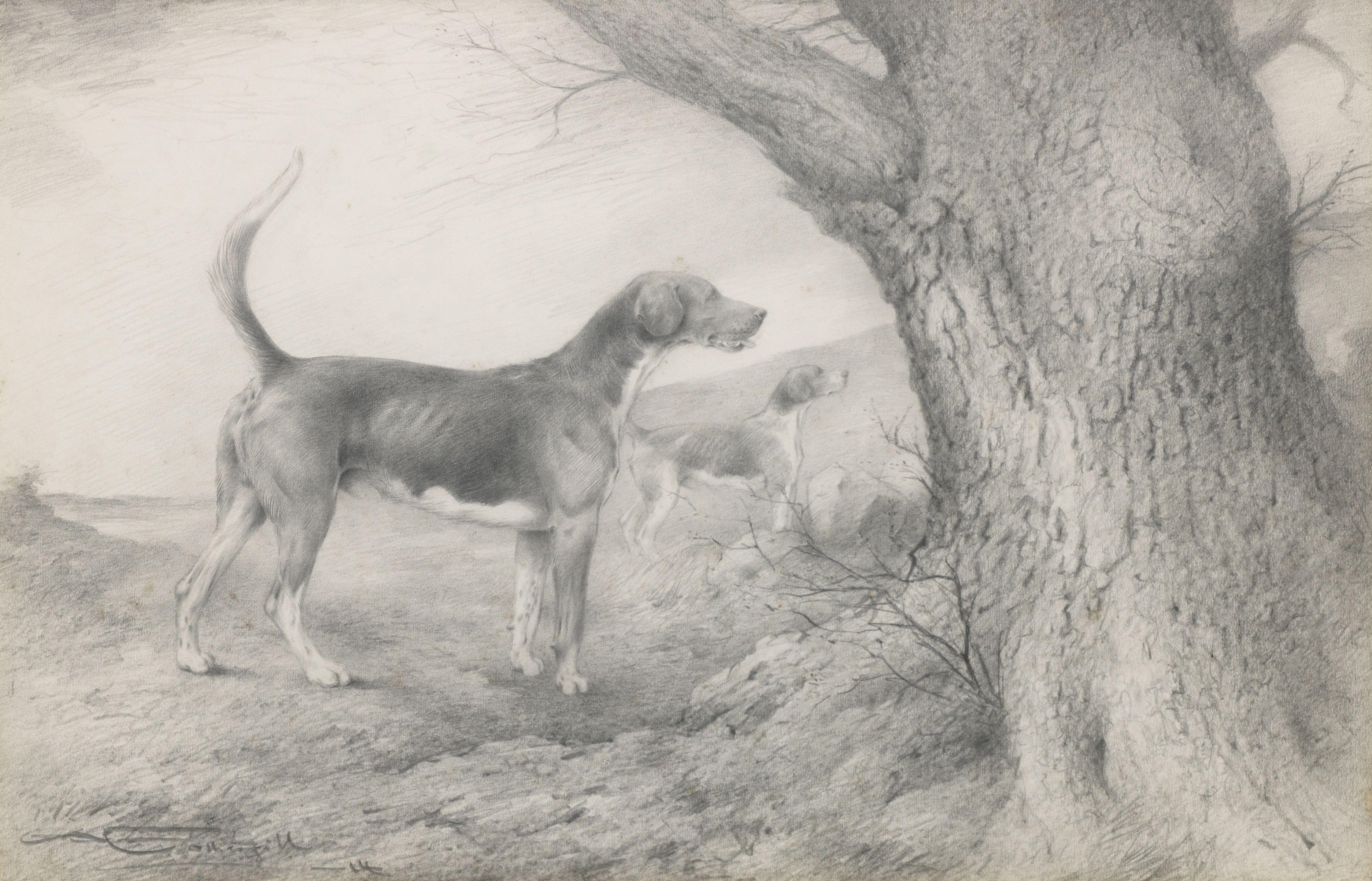 George Algernon Fothergill - \'Factor\' - Hound from The Linlithgow & Stirlingshire Hunt