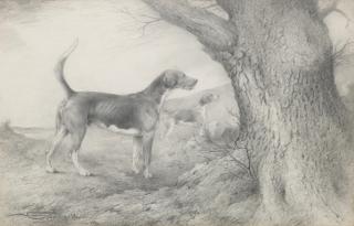George Algernon Fothergill - \'Factor\' - Hound from The Linlithgow & Stirlingshire Hunt