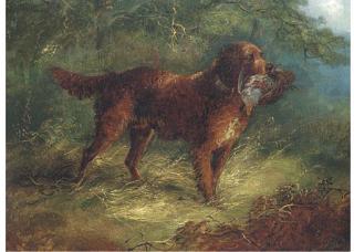 George Armfield - A Gundog With A Grouse