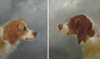 George Armfield - A Pair of Spaniels